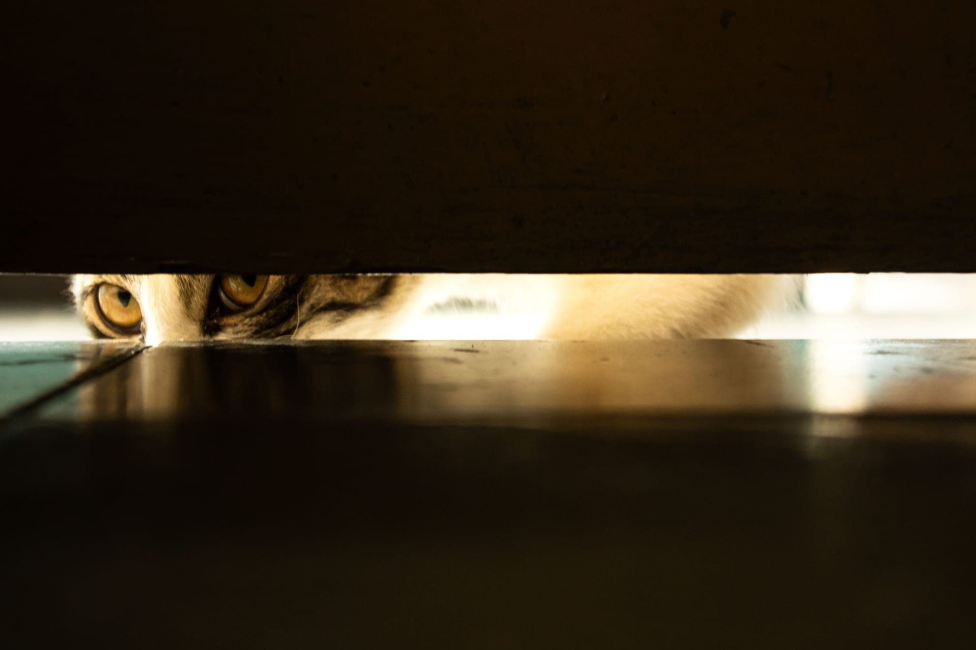 Cold daylight showing through the gap under a closed exterior door at floor level